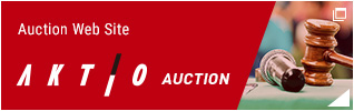 Auction Web Site